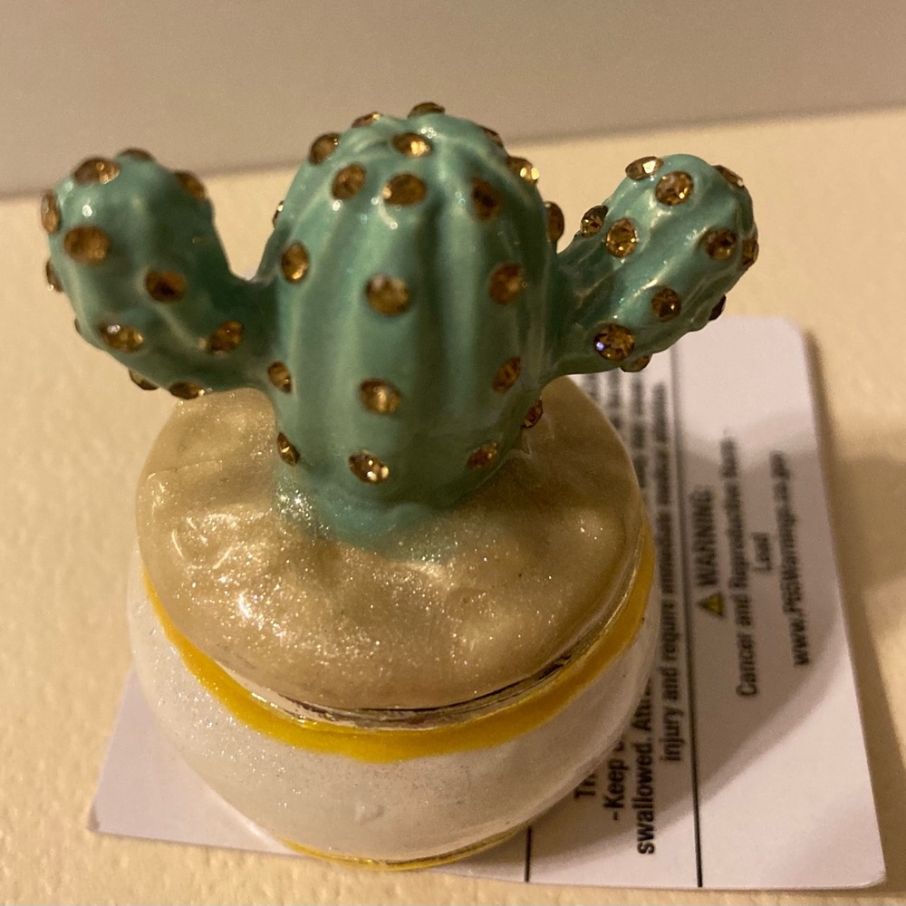 Cactus hinged trinket box w/magnetic closure, NWT.